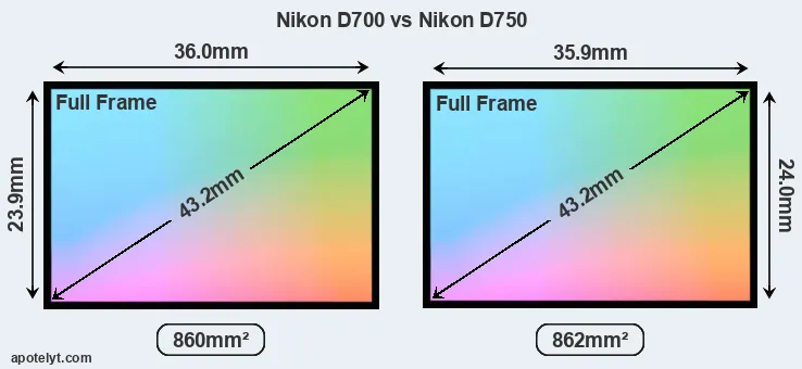 Nikon D700 and Nikon D750 sensor measures