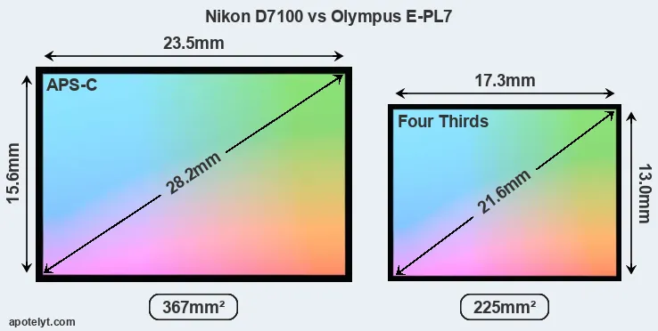 Nikon D7100 and Olympus E-PL7 sensor measures