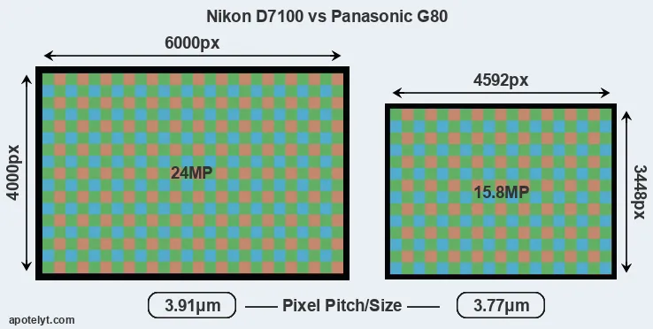 D7100 versus G80 MP