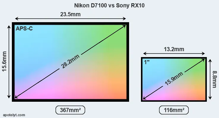 Nikon D7100 and Sony RX10 sensor measures