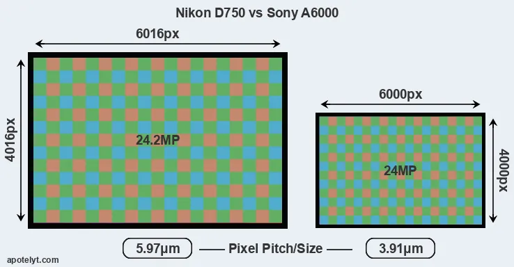D750 versus A6000 MP