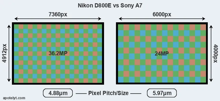 D800E versus A7 MP
