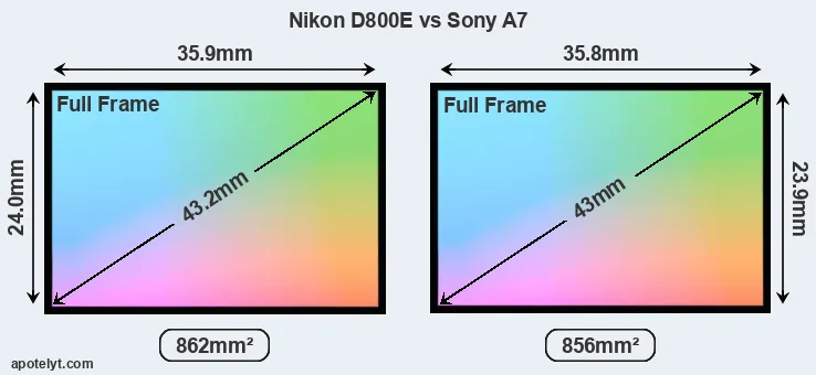 Nikon D800E and Sony A7 sensor measures