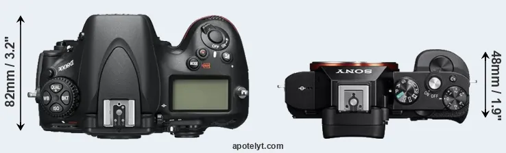 Compare D800E versus A7 top
