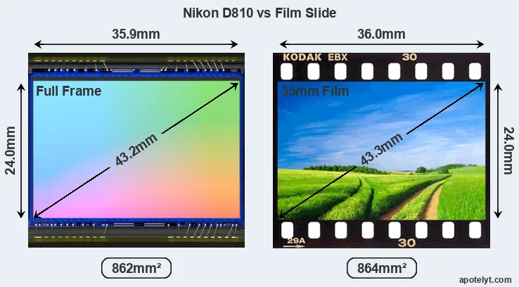 Nikon D810 sensor measures