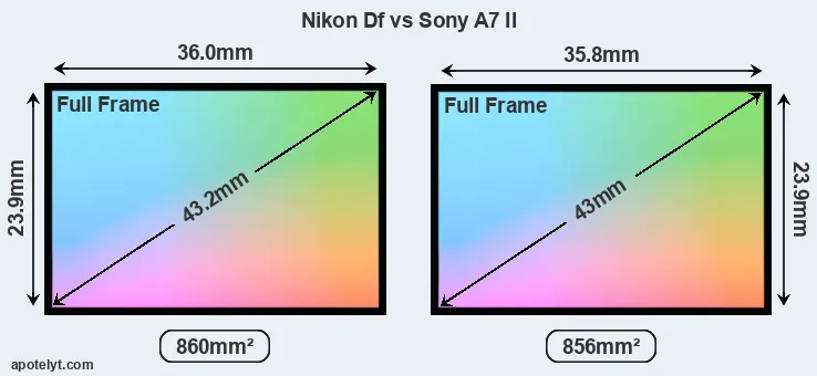 Nikon Df and Sony A7 II sensor measures