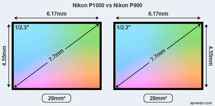 Nikon P1000 and Nikon P900 sensor measures