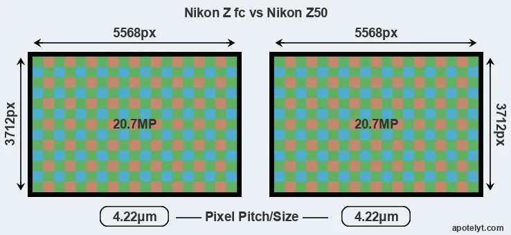 Z fc versus Z50 MP