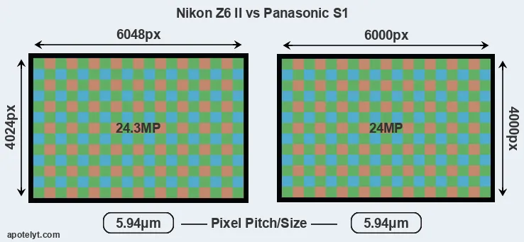 Z6 II versus S1 MP