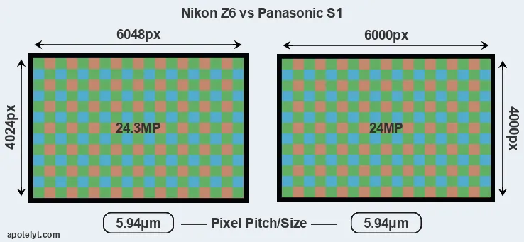 Z6 versus S1 MP
