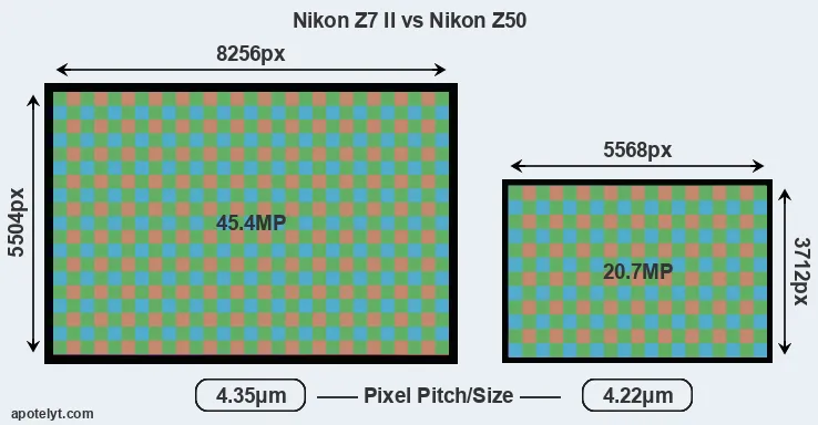 Z7 II versus Z50 MP