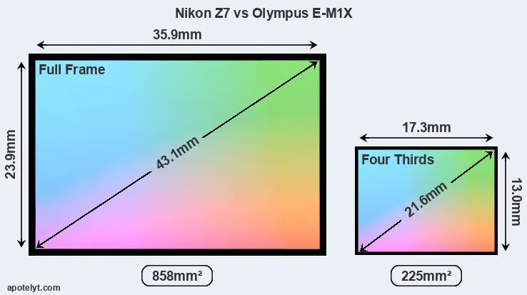 Nikon Z7 and Olympus E-M1X sensor measures