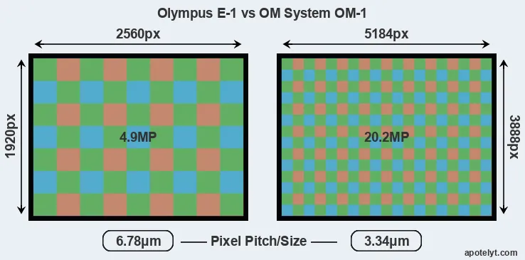 E-1 versus OM-1 MP