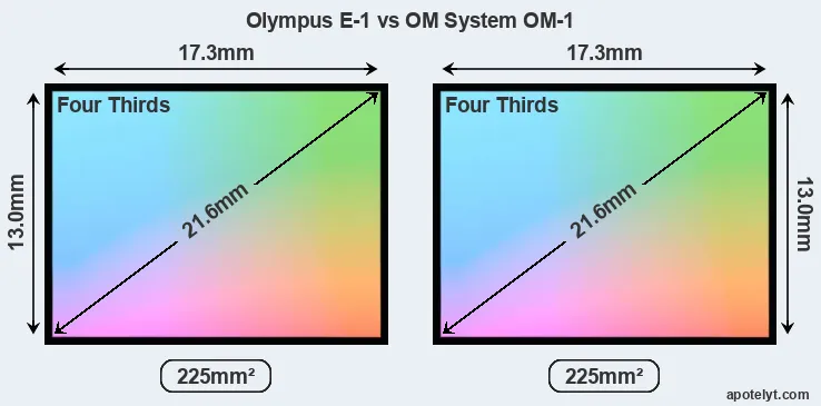 Olympus E-1 and OM System OM-1 sensor measures
