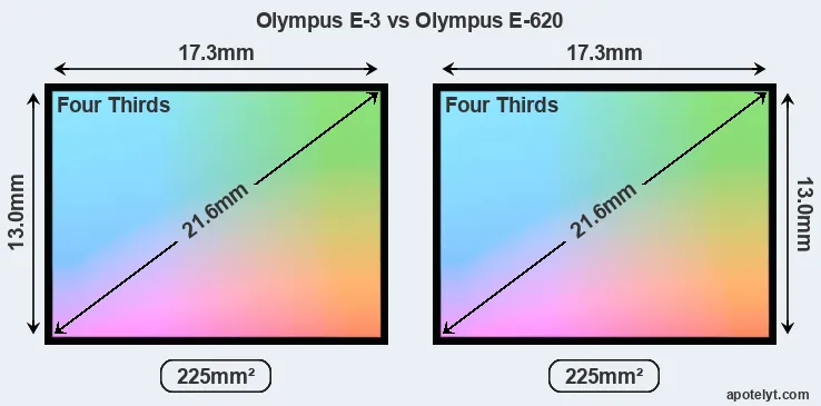 Olympus E-3 and Olympus E-620 sensor measures