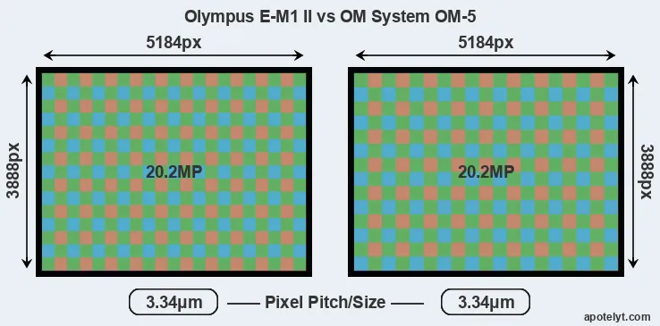 E-M1 II versus OM-5 MP
