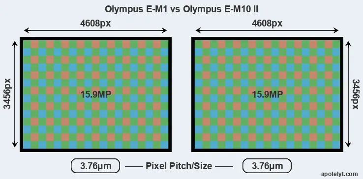 E-M1 versus E-M10 II MP