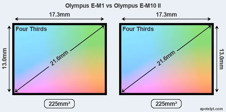 Olympus E-M1 and Olympus E-M10 II sensor measures