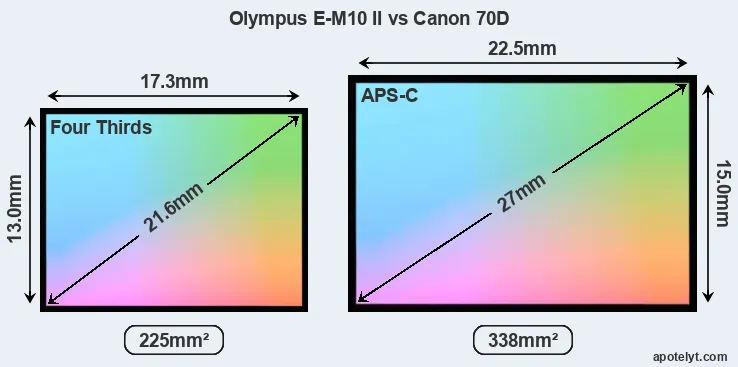 Olympus E-M10 II and Canon 70D sensor measures