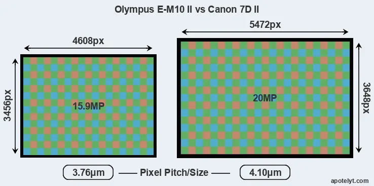 E-M10 II versus 7D Mark II MP