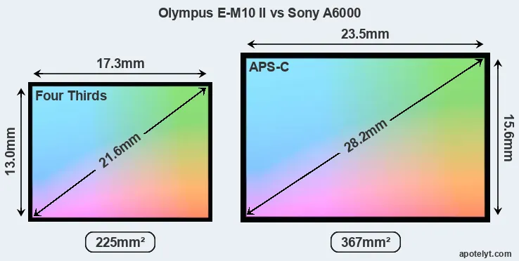 Olympus E-M10 II and Sony A6000 sensor measures