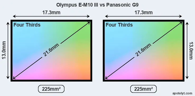 Olympus E-M10 III and Panasonic G9 sensor measures