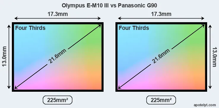 Olympus E-M10 III and Panasonic G90 sensor measures