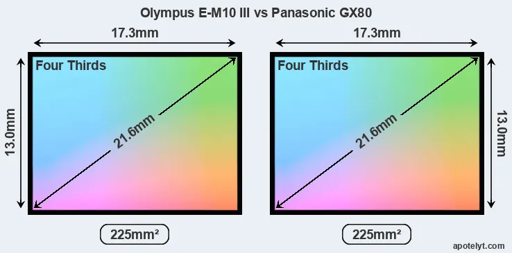 Olympus E-M10 III and Panasonic GX80 sensor measures