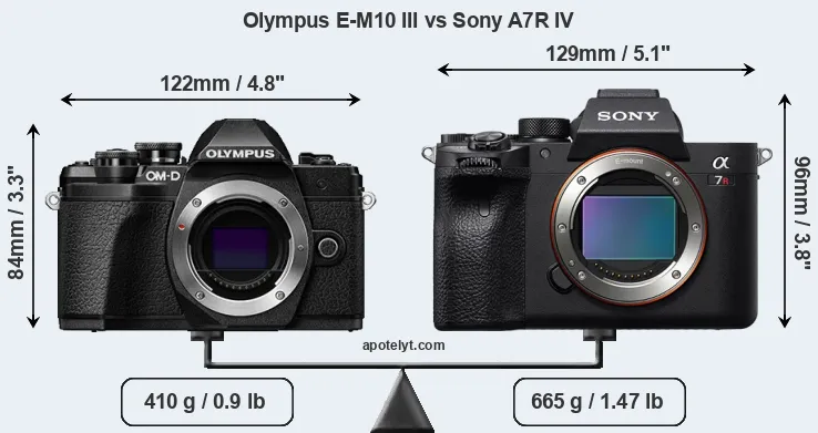 Size Olympus E-M10 III vs Sony A7R IV