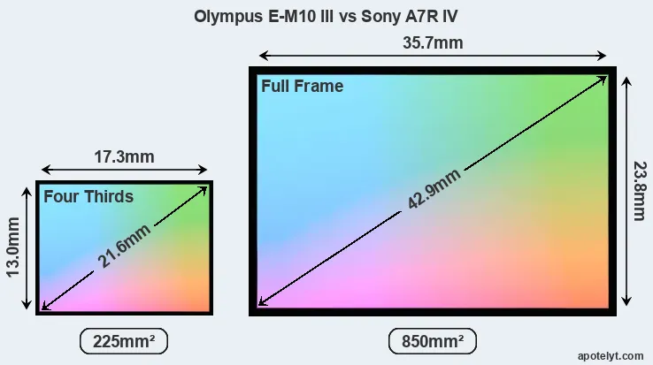 Olympus E-M10 III and Sony A7R IV sensor measures