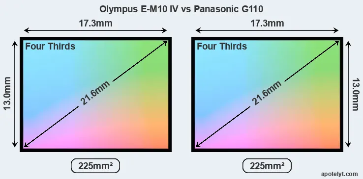 Olympus E-M10 IV and Panasonic G110 sensor measures