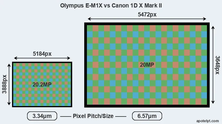 E-M1X versus 1DX Mark II MP