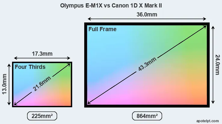Olympus E-M1X and Canon 1D X Mark II sensor measures