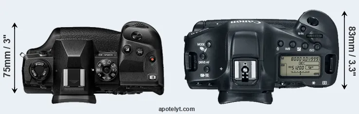 Compare E-M1X versus 1DX Mark II top