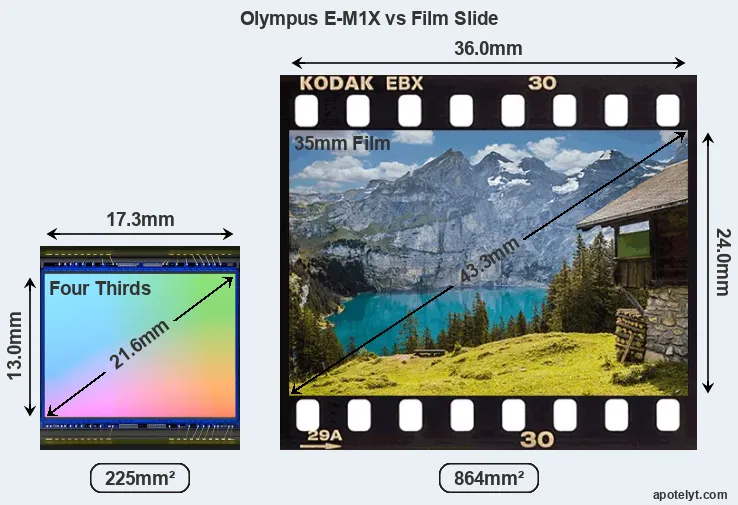 Olympus E-M1X sensor measures