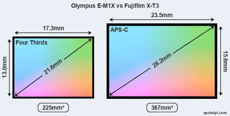 Olympus E-M1X and Fujifilm X-T3 sensor measures