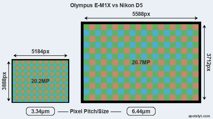 E-M1X versus D5 MP