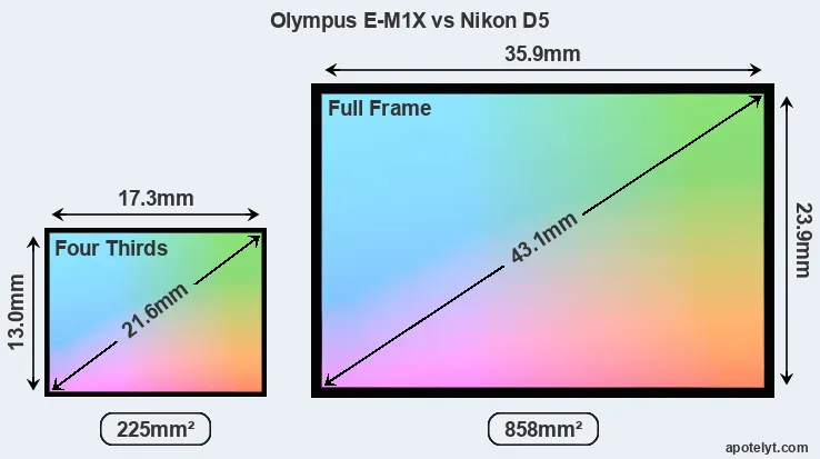 Olympus E-M1X and Nikon D5 sensor measures