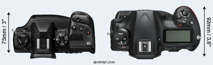 Compare E-M1X versus D5 top