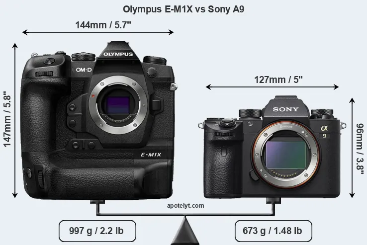 Size Olympus E-M1X vs Sony A9