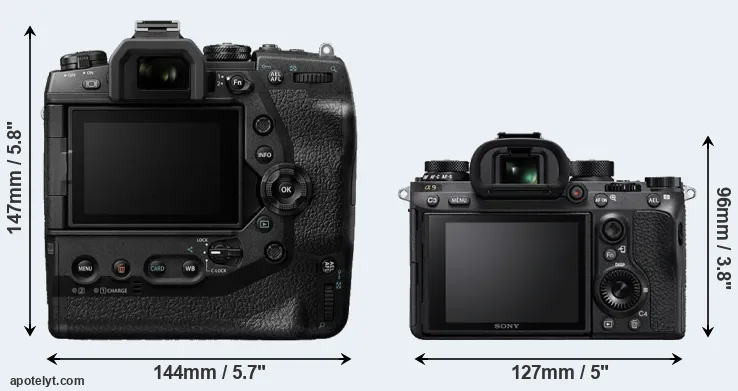 Comparison E-M1X or A9 rear
