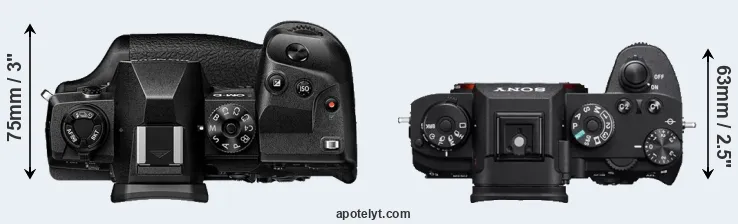 Compare E-M1X versus A9 top