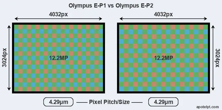 E-P1 versus E-P2 MP