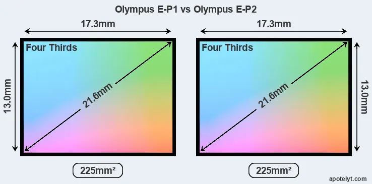 Olympus E-P1 and Olympus E-P2 sensor measures
