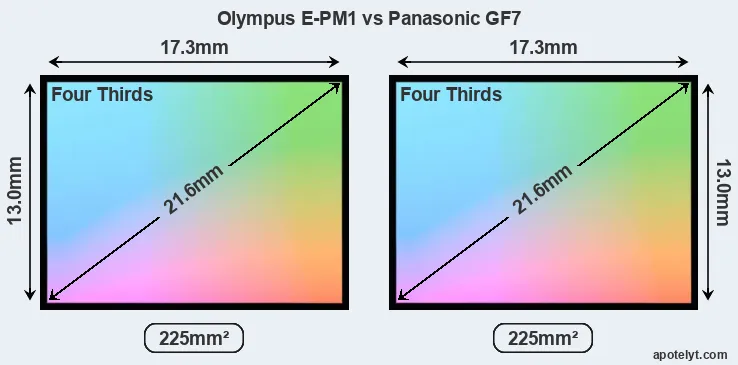 Olympus E-PM1 and Panasonic GF7 sensor measures
