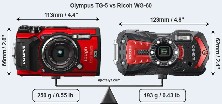 Size Olympus TG-5 vs Ricoh WG-60