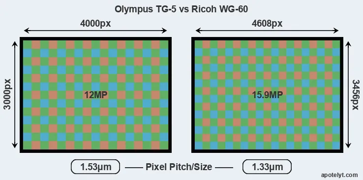 TG-5 versus WG-60 MP