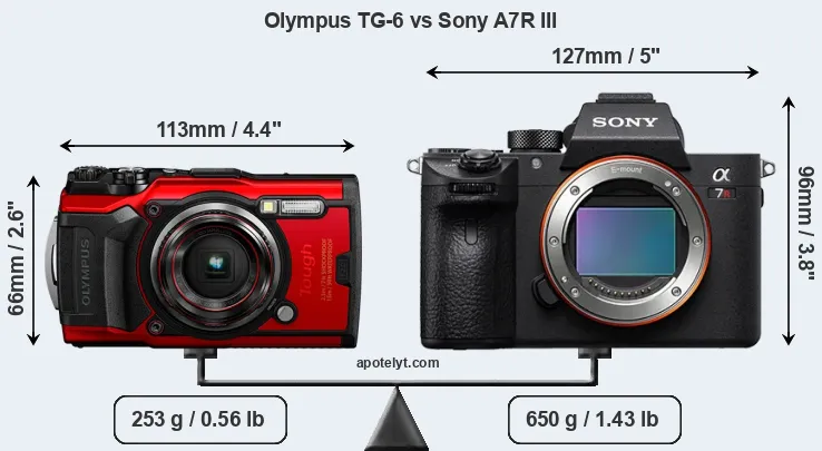 Size Olympus TG-6 vs Sony A7R III