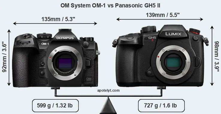 Size OM System OM-1 vs Panasonic GH5 II