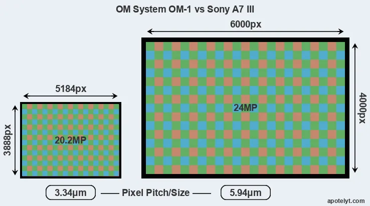 OM-1 versus A7 III MP